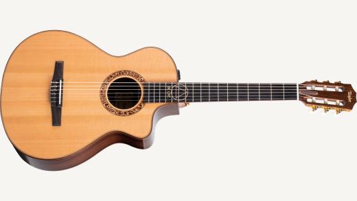 Nylon String Guitars Classical Acoustic Taylor Guitars